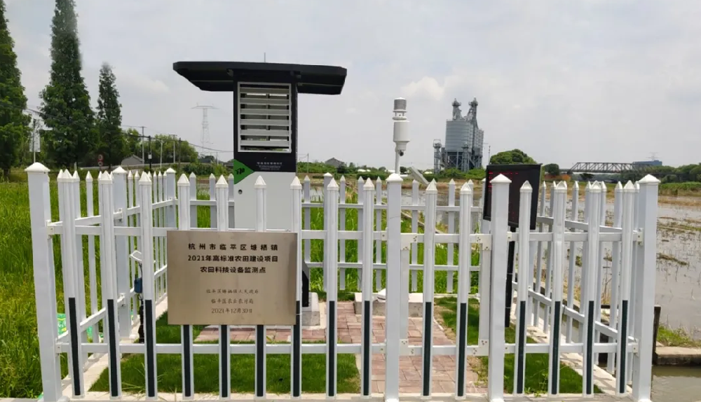 聽(tīng)說(shuō)，現(xiàn)在流行這樣種田