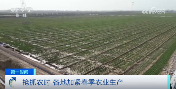 心系糧安、山田無(wú)阻、服務(wù)有恒|托普云農(nóng)2025年智能裝備巡檢服務(wù)全面啟動(dòng)