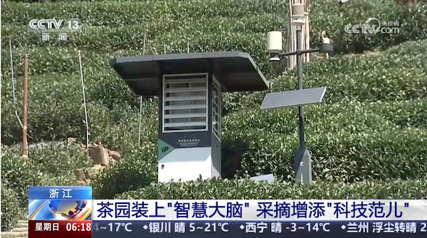 央視、人民網(wǎng)等權(quán)威媒體聚焦西湖龍井：托普云農(nóng)“黑科技”點亮千年茶香智變之路