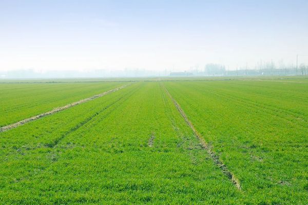 科技賦能春耕，托普云農(nóng)智慧農(nóng)情監(jiān)測站再獲央視關(guān)注