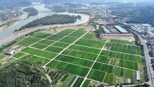 屏幕種田、數(shù)據(jù)施肥，看托普如何助力桐廬繪就共富新畫卷